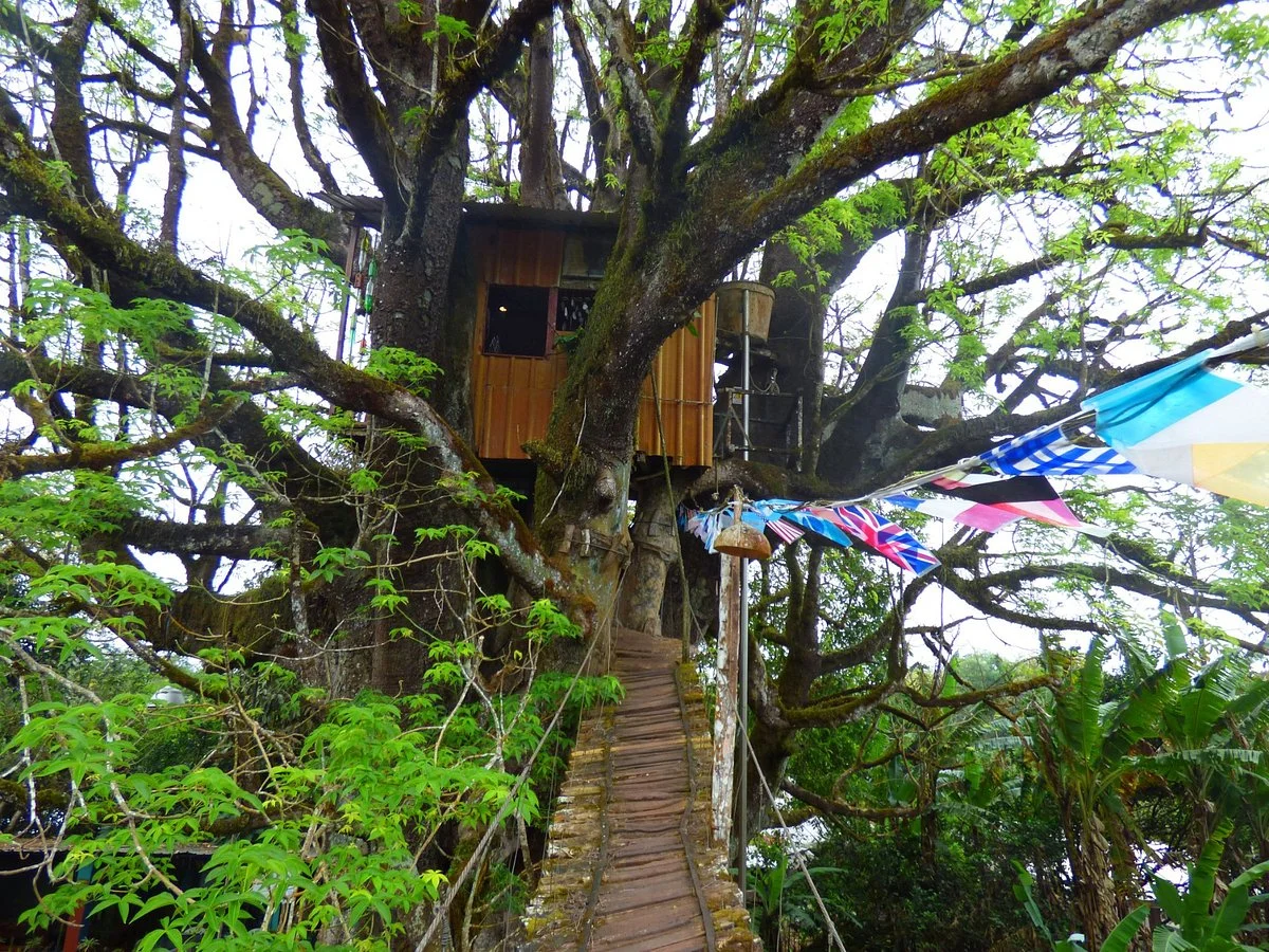 La Casa del Ceibo