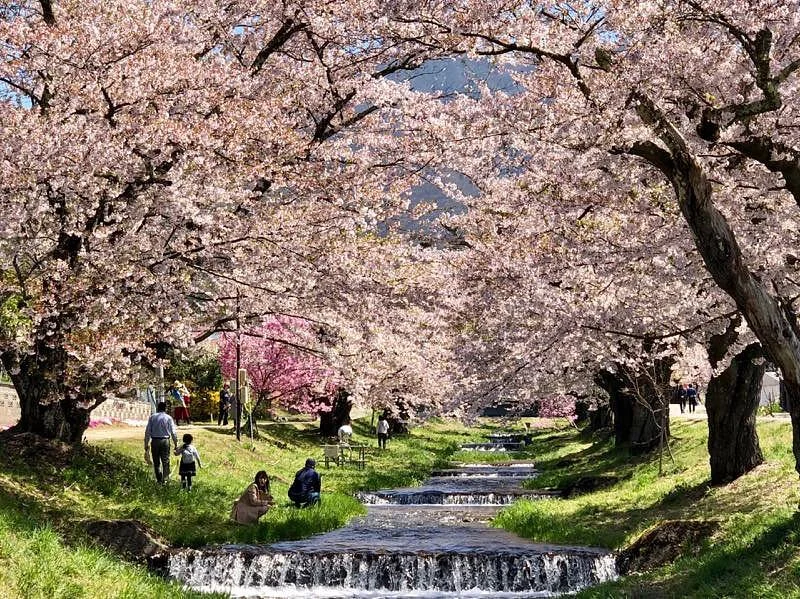Kannonji River