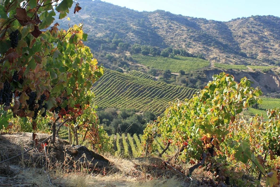 TreMonte Winery / Vina TreMonte