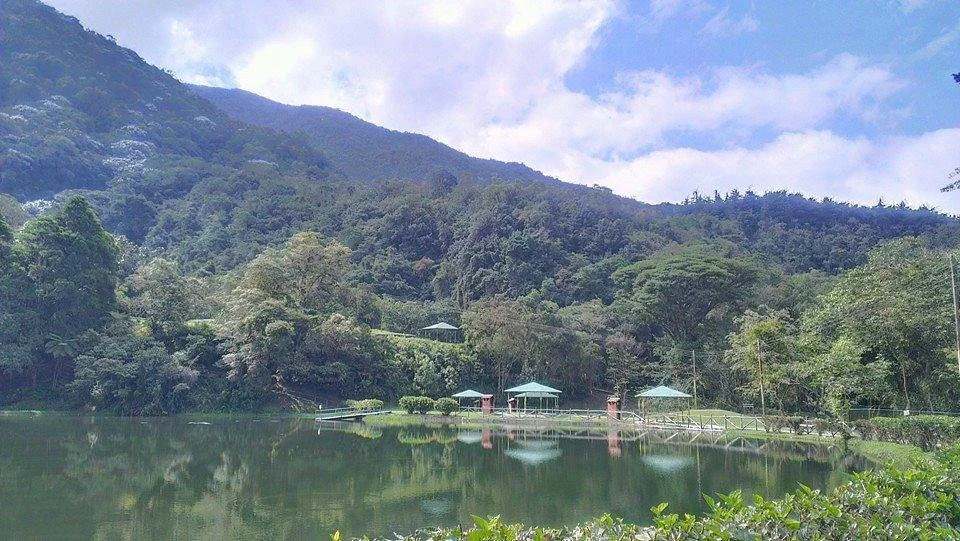 Laguna de los cedros