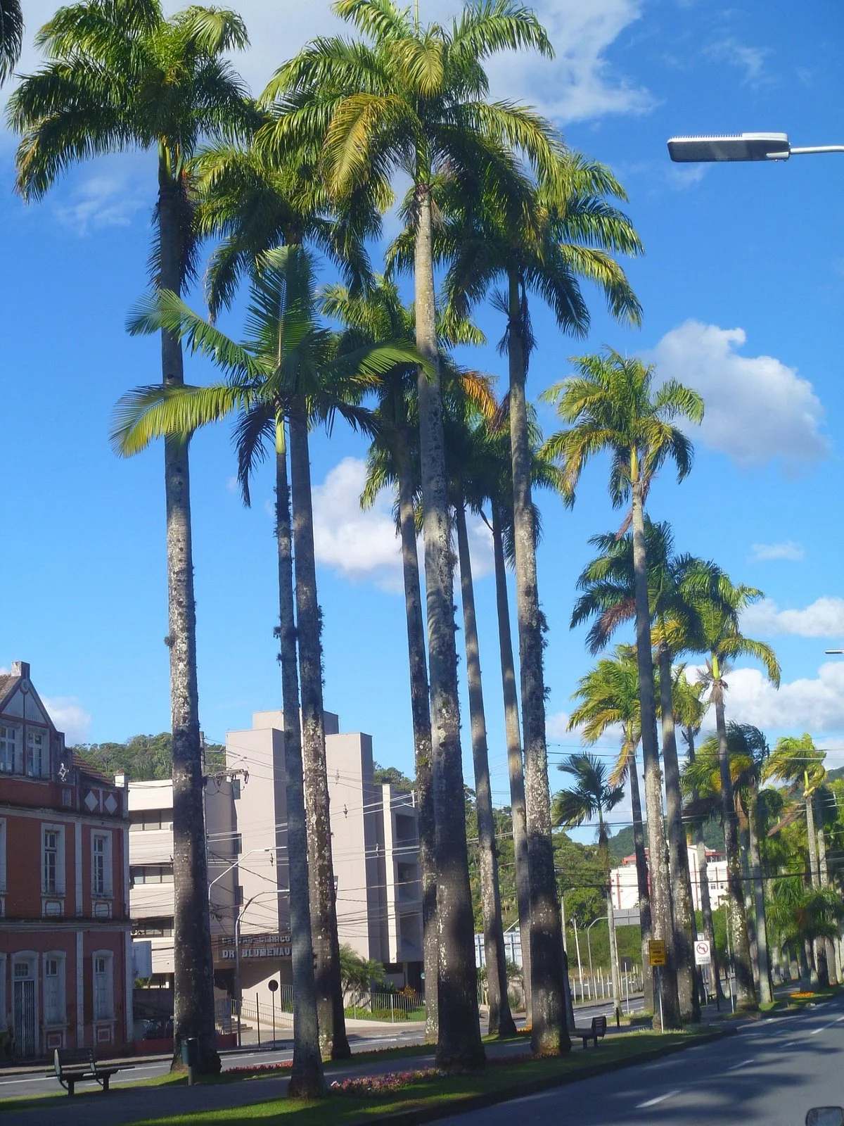 Alameda Duque de Caxias