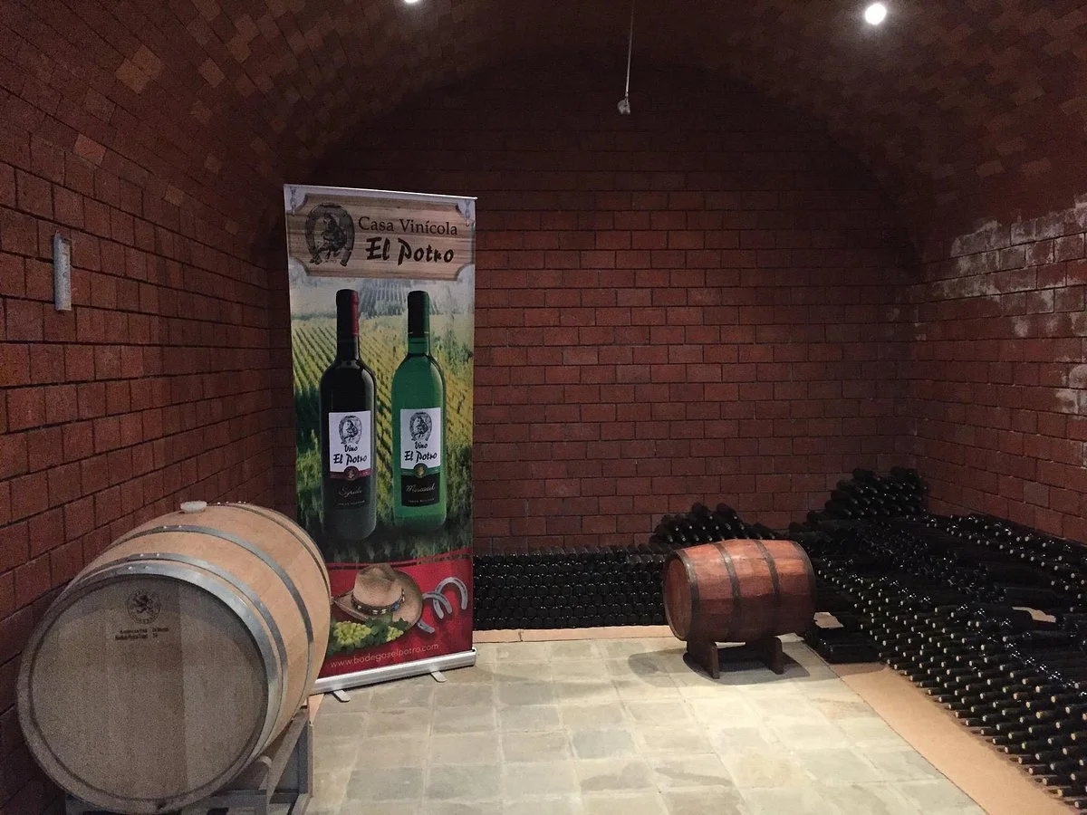 Casa Vinicola El Potro
