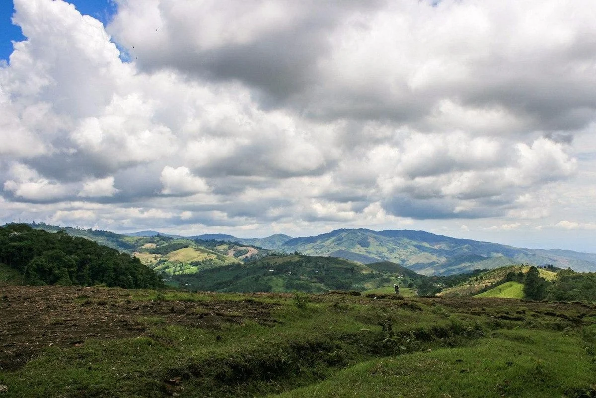 La Reserva Nacional Forestal Bosque de Yotoco