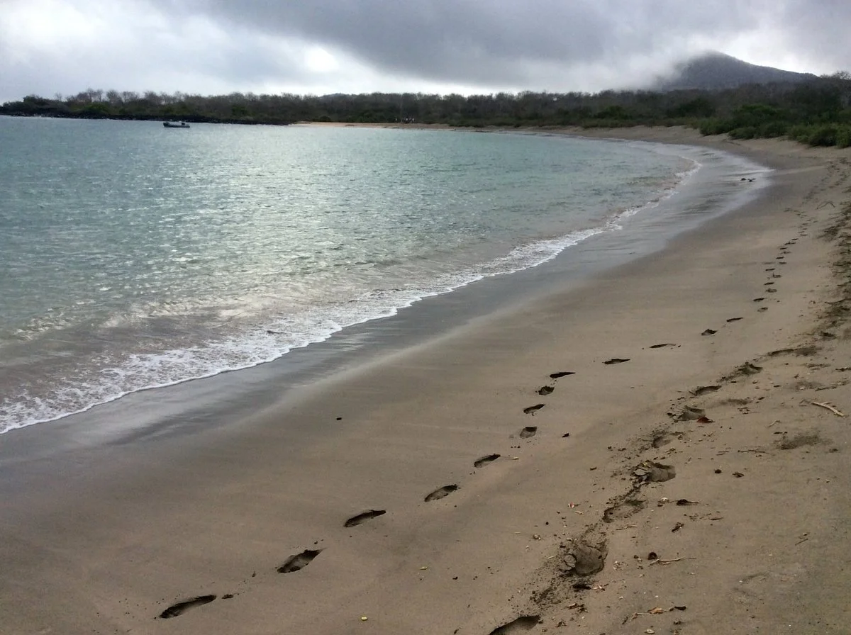 Playa Negra