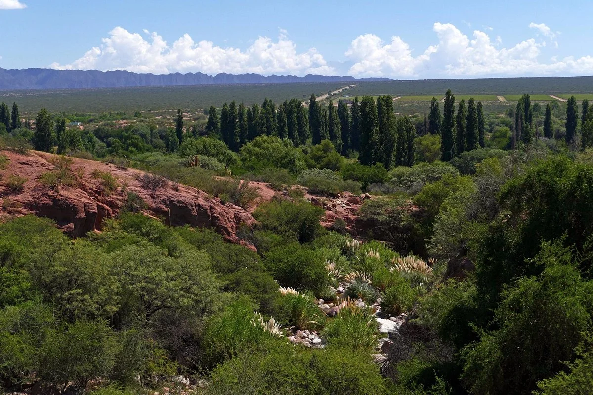 Sitio Arqueologico de Hualco