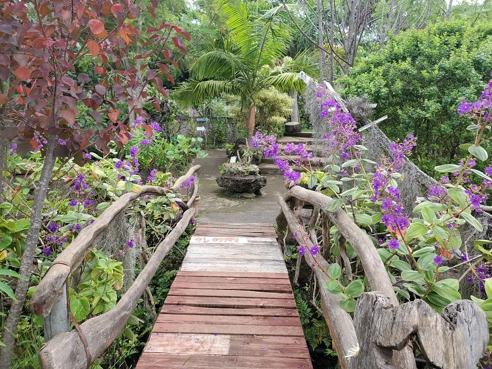 Jardin Tau Kiani Rapa Nui