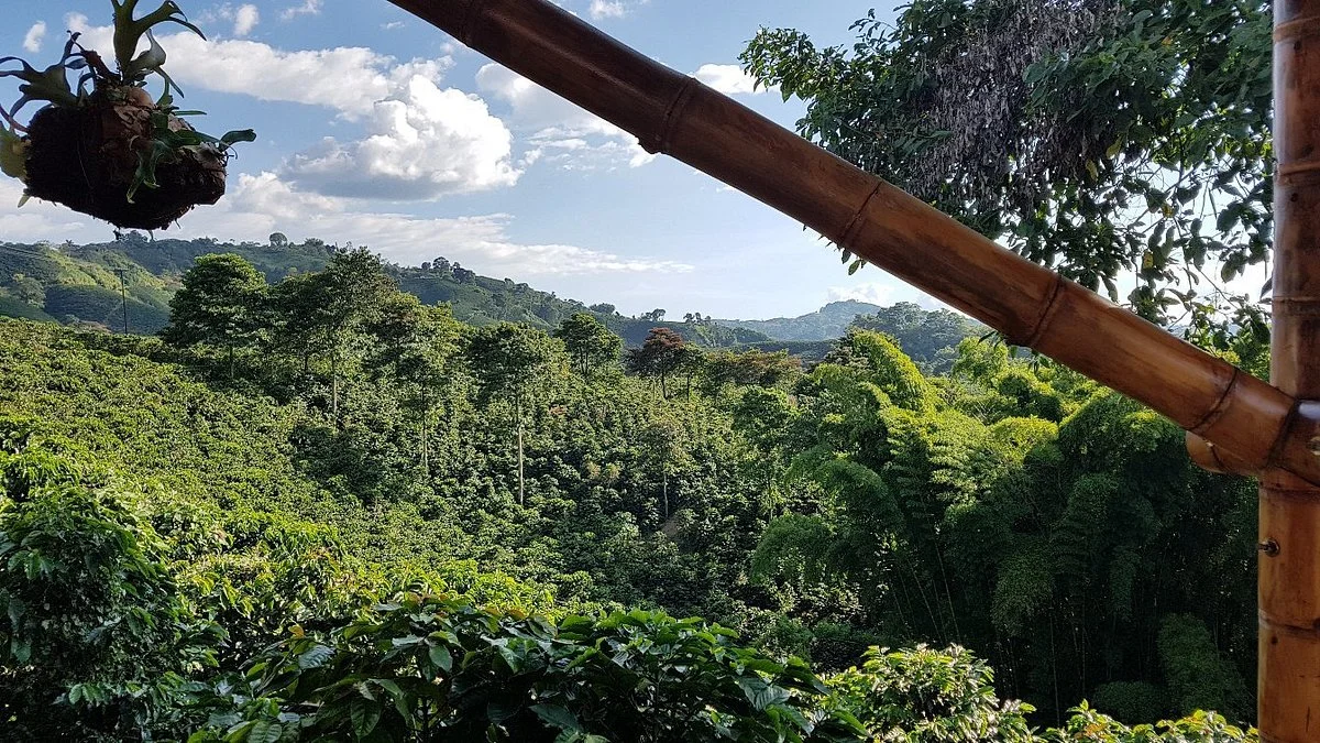 Hacienda La Gaviota
