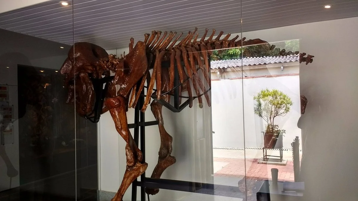 Museu de Ciencias Naturais