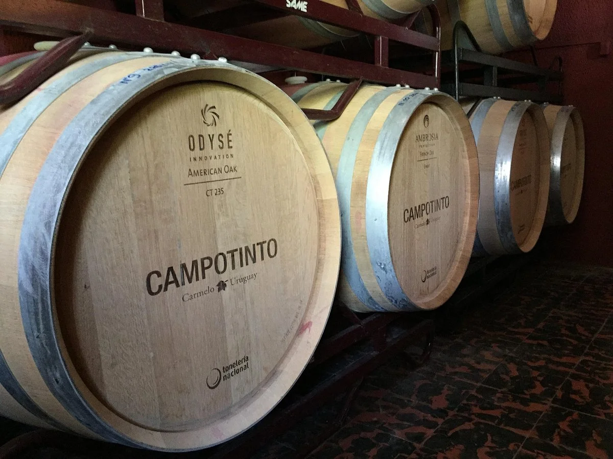 Bodega Campo Tinto