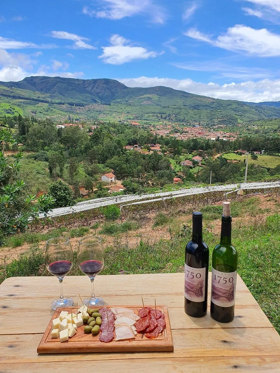 Vinos 1750 - Uvairenda Bodega & Vinedos