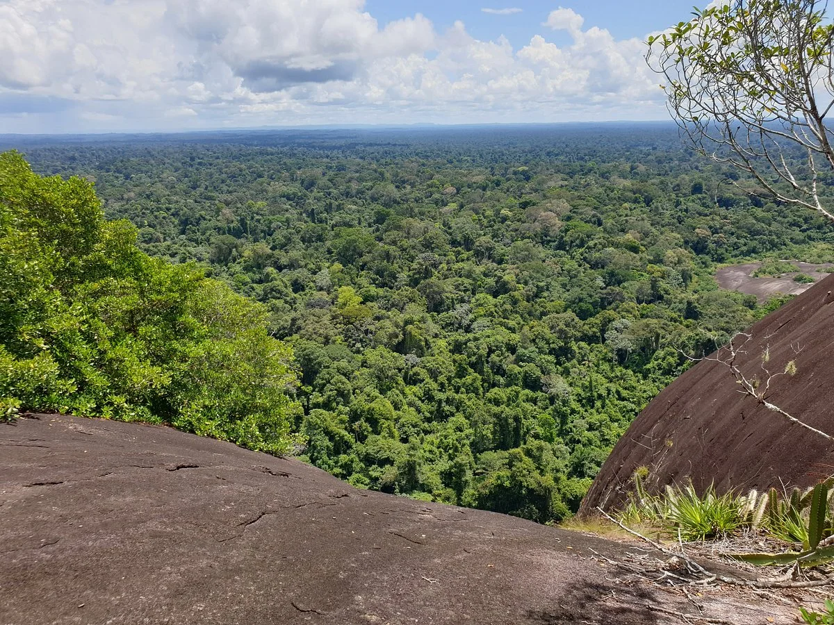 Central Suriname Nature Reserve