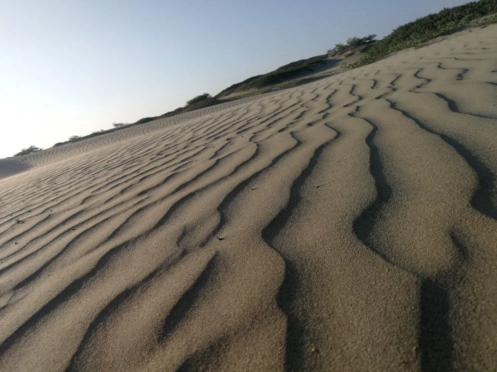 Desierto de Sechura