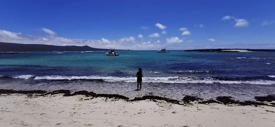 Playa El Manglecito