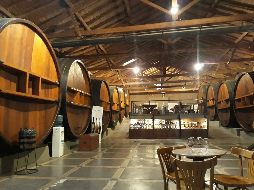 Museo del vino