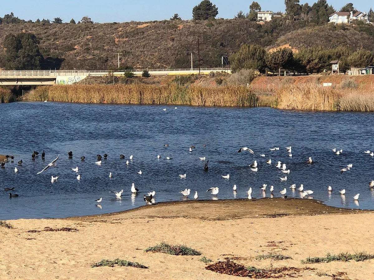 Sanctuary Laguna el Peral