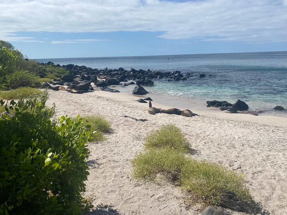 Playa Baquerizo