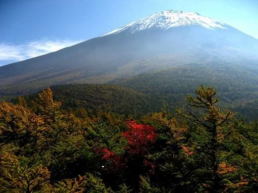 Fuji Subaru Line