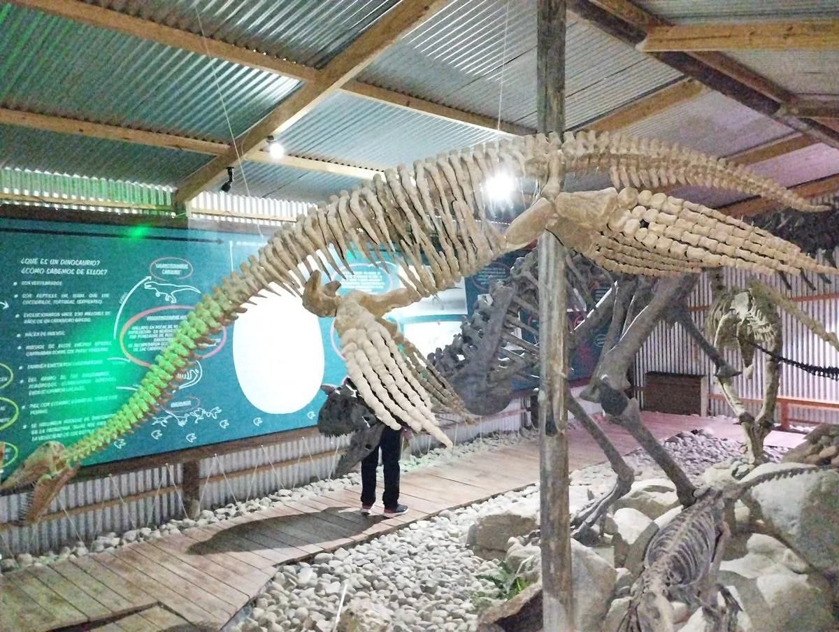 Museo Regional Municipal de El Calafate