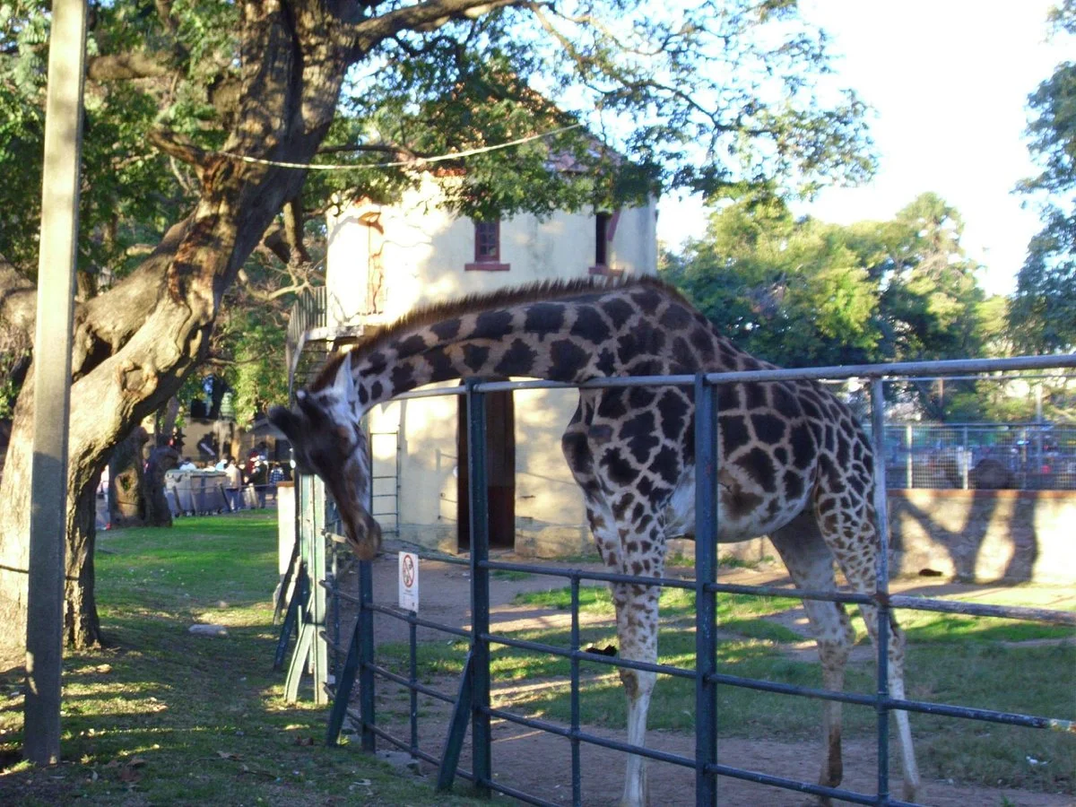 Zoo Villa Dolores