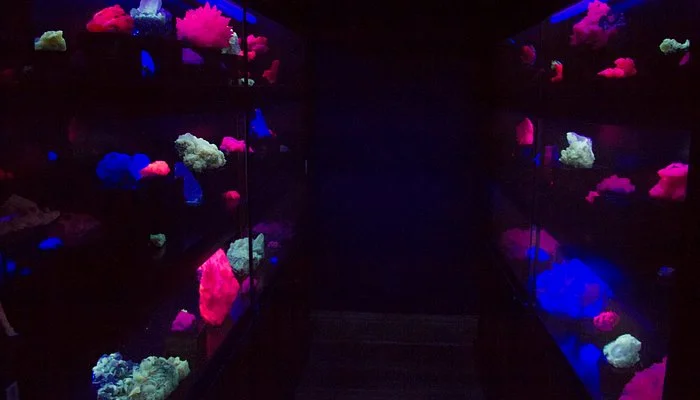 Museo de Minerales Andres del Castillo