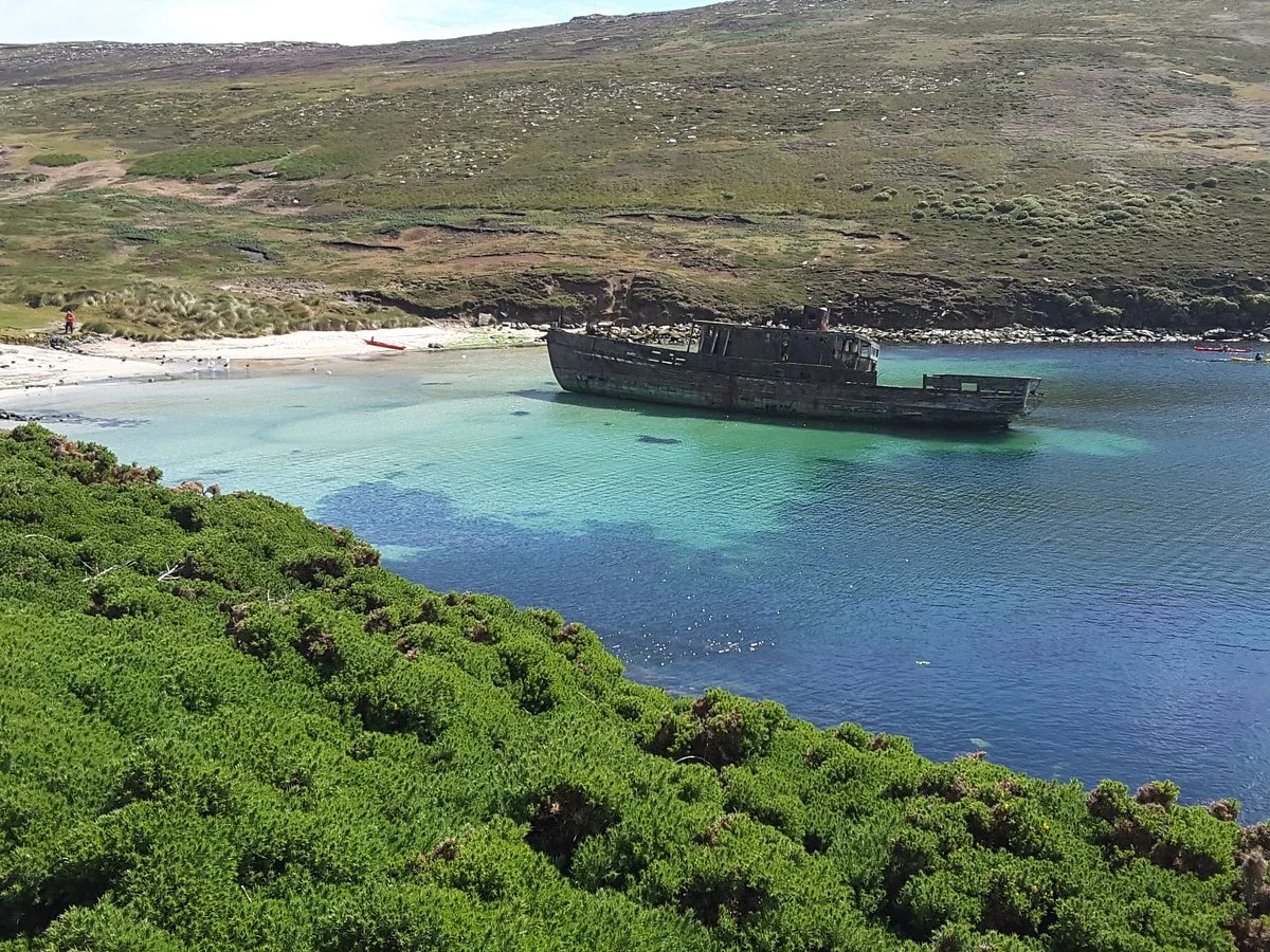 New Island