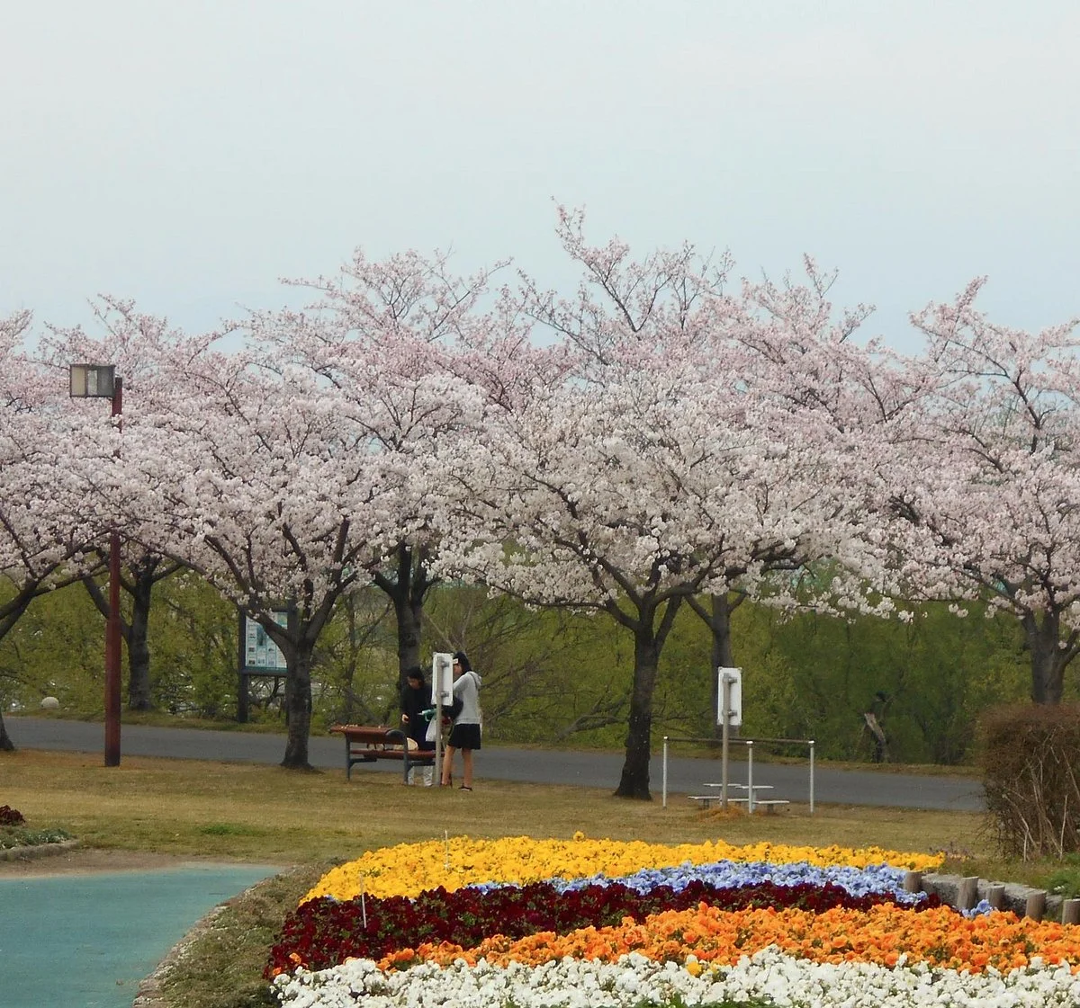 Kurume Hyakunen Park
