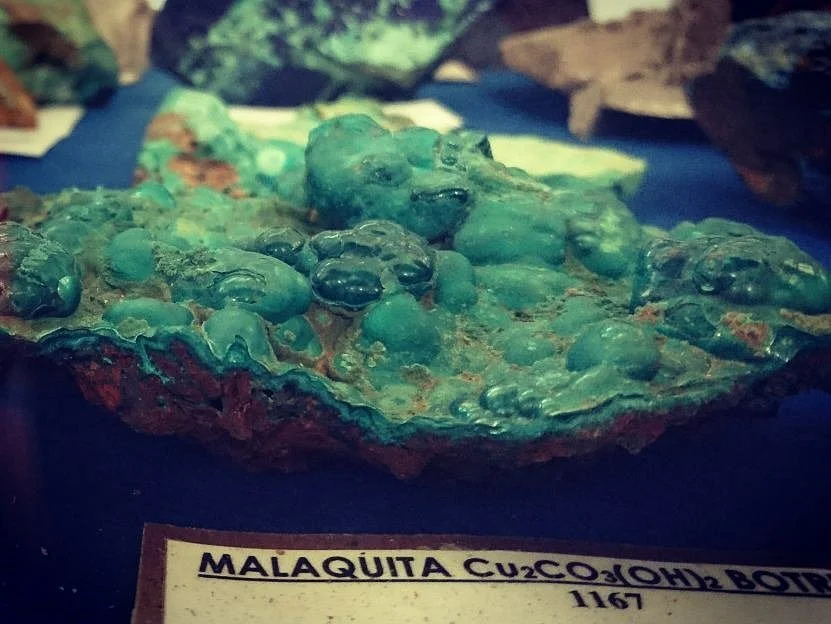 UFPA Geoscience Museum