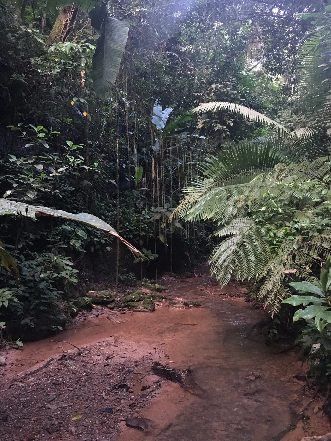 Fossil Creek Wildlife Reserve