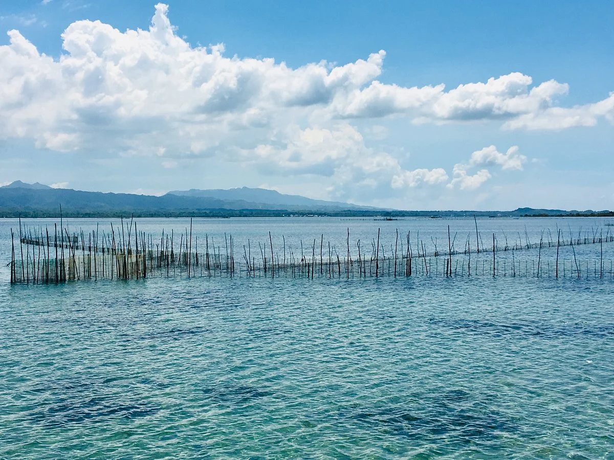 Tabuk Marine Park and Bird Sanctuary