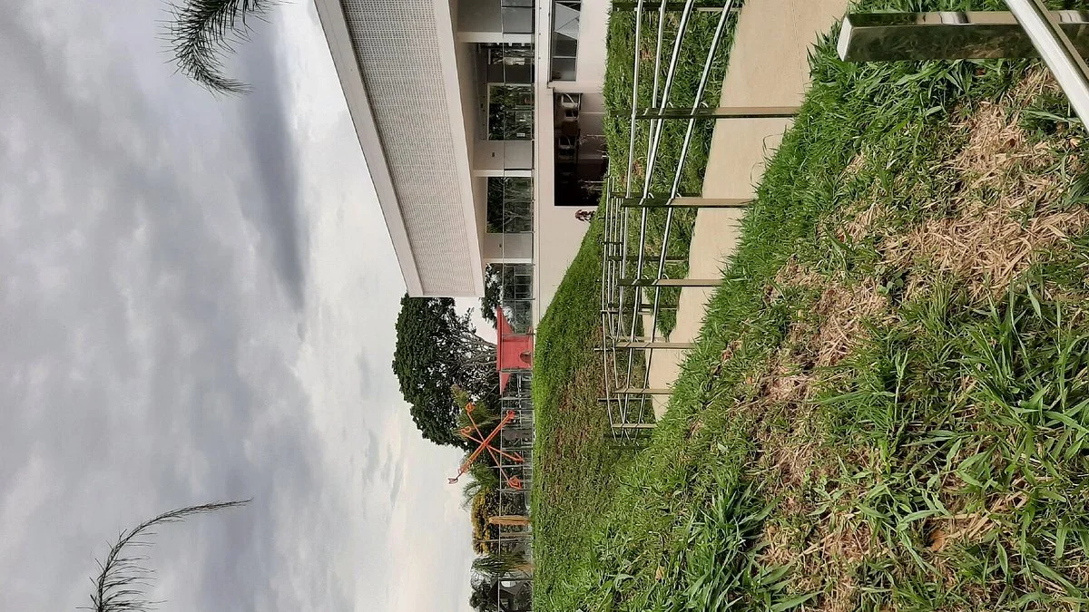 Museu de Arte Moderna