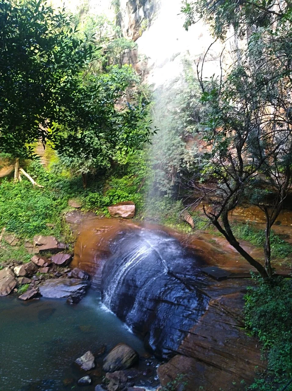 Salto Suizo