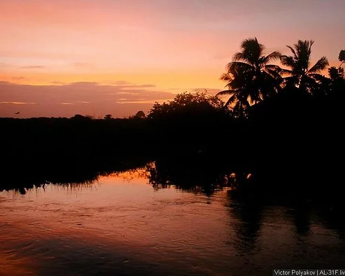 Orinoco Delta