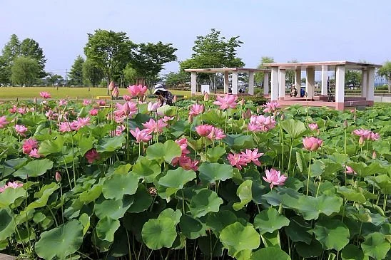 Hiraike Park
