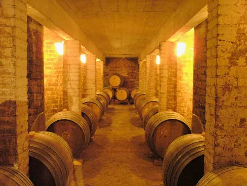 Bodega Familia Di Tommaso