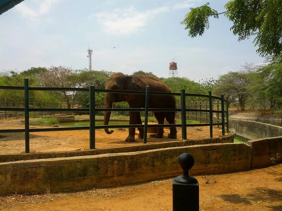 Zoologico Metropolitano de El Zulia