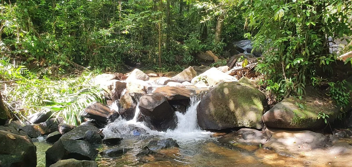 Chutes de Fourgassier