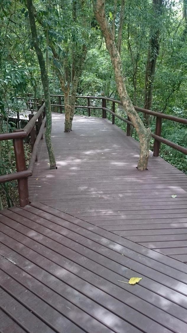 Bosque Pedro Medeiros