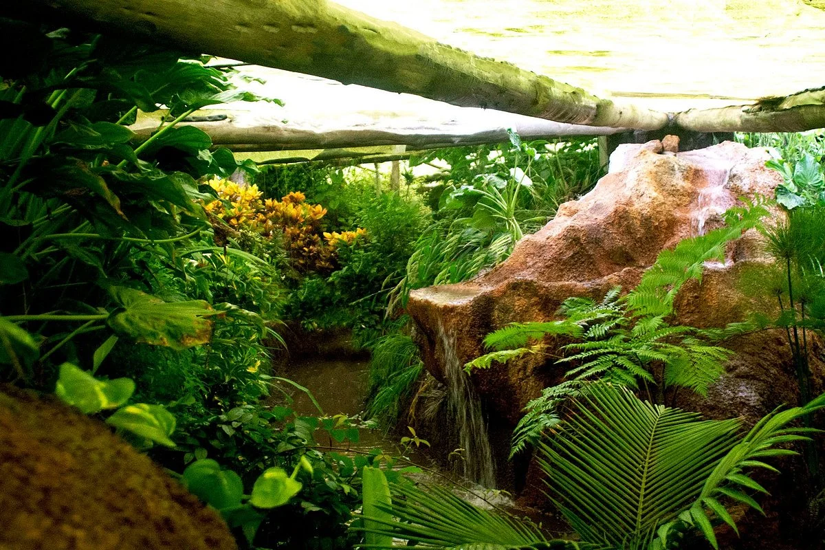 Parque Biomas