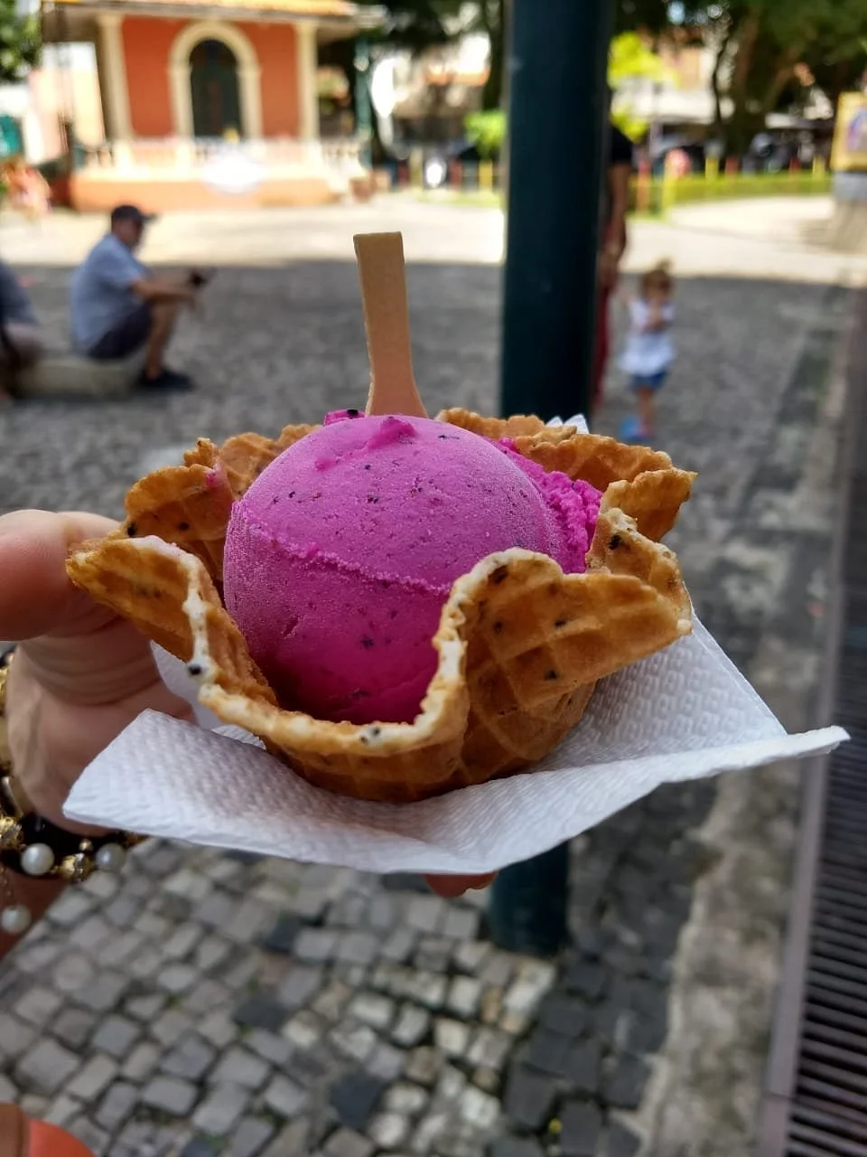 Feira da Nipo