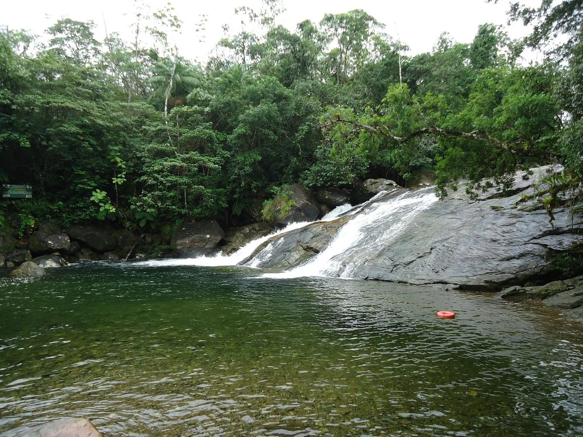 Atlantic Forest South-East Reserves