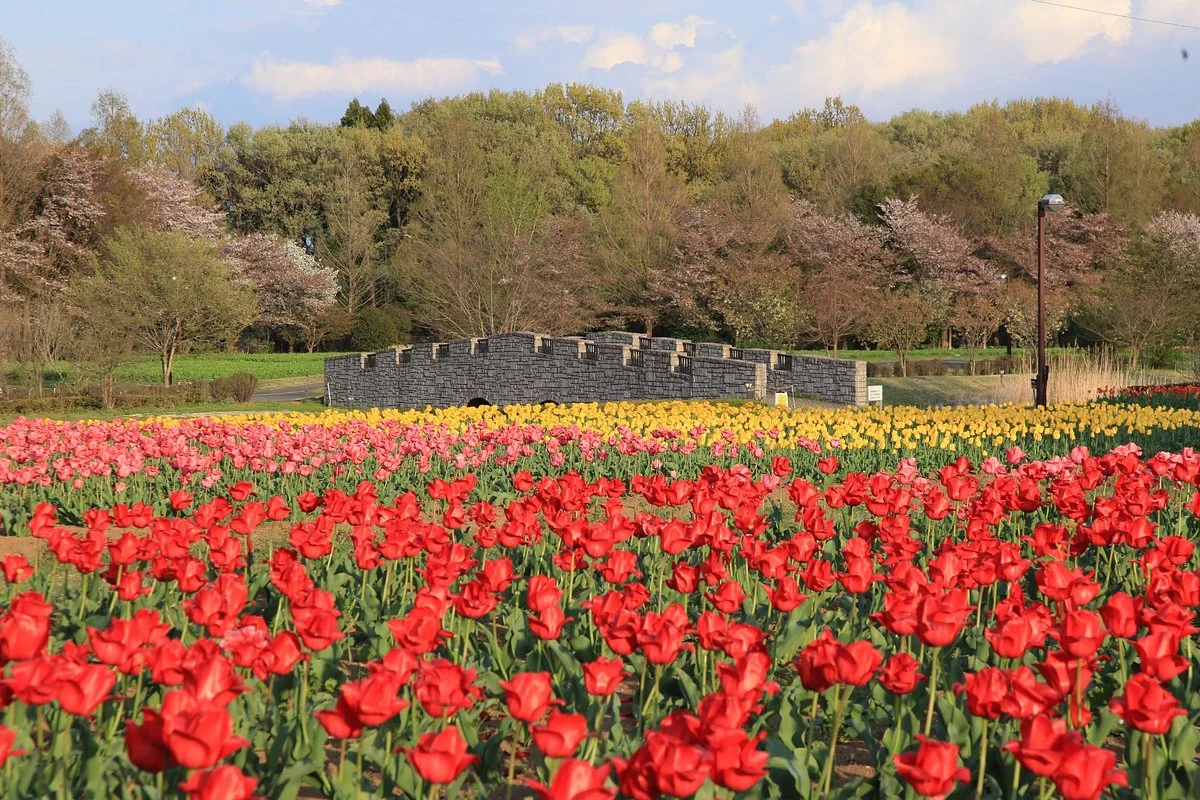 Omiya Hana no Oka Norin Park
