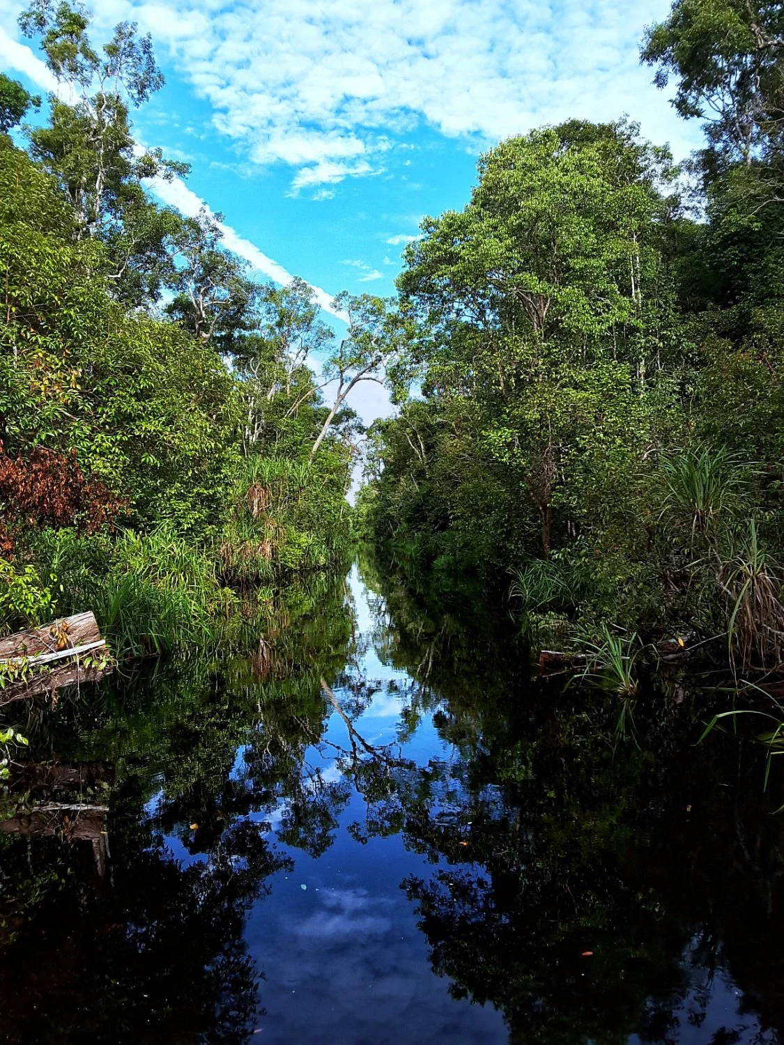 Camp Leakey