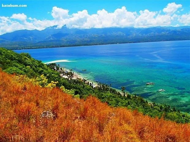 Malalison Island