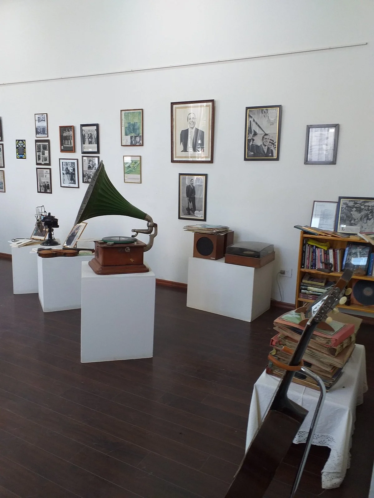 Museo Gardeliano