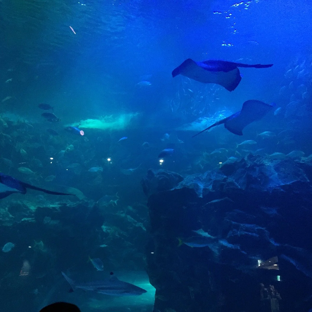Hanwha Aqua Planet Ilsan