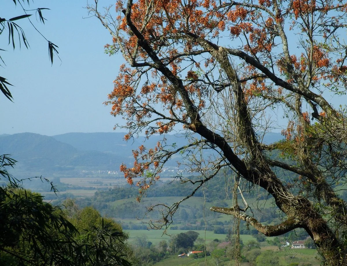 Buraco do Vento