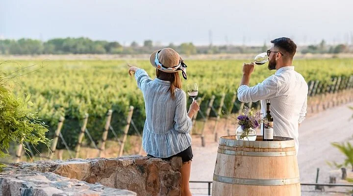 Olivia Di Vino