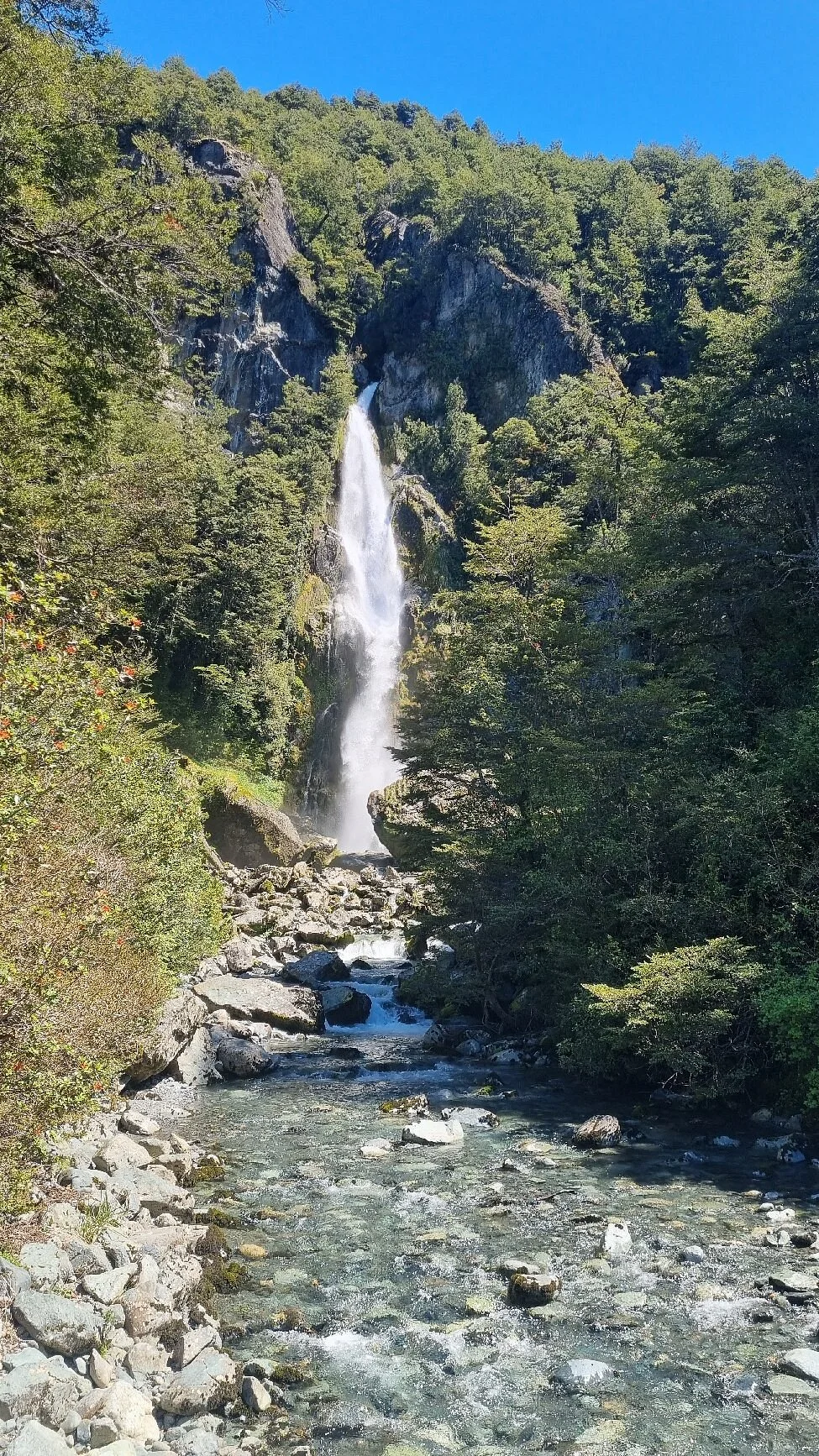 Nutria Waterfall