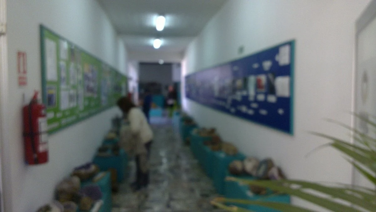 Museo de Geociencias