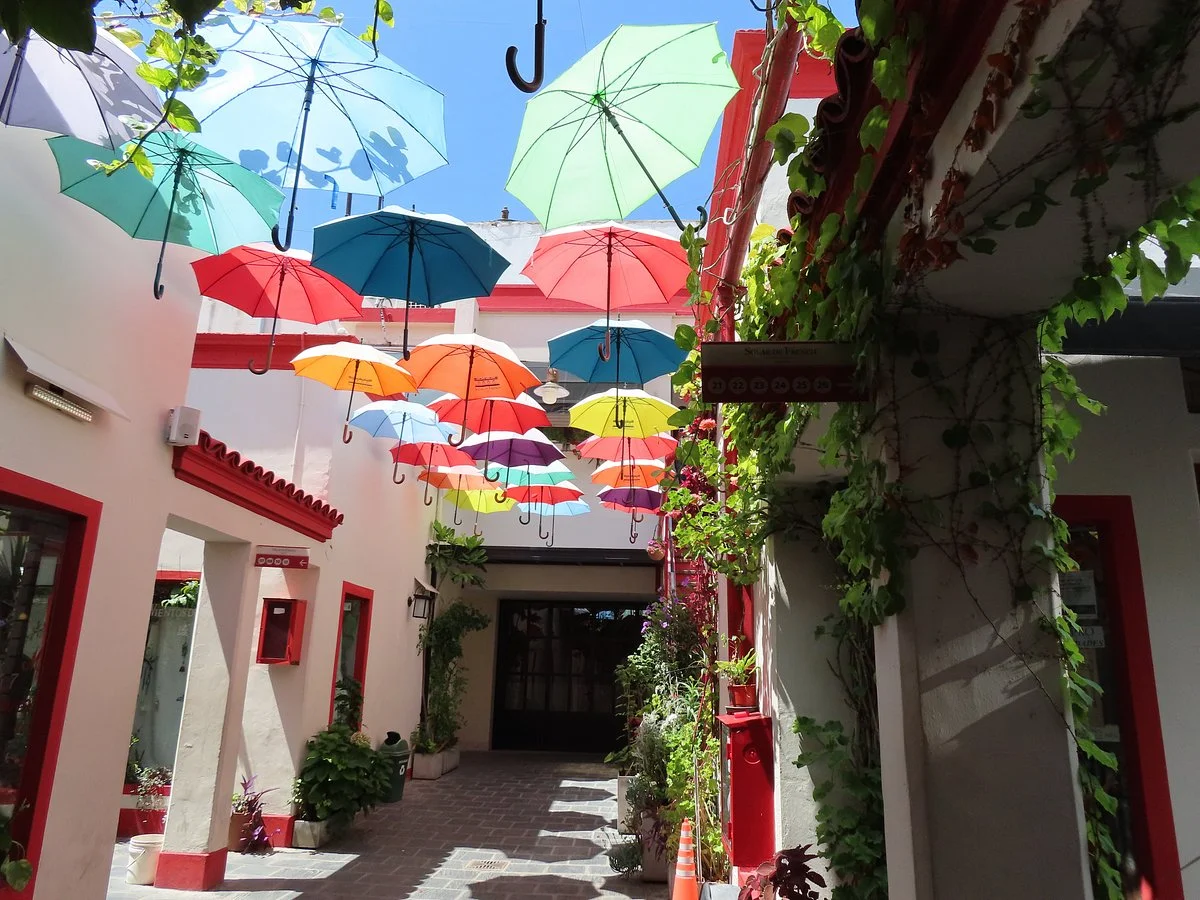 Galeria El Solar de French